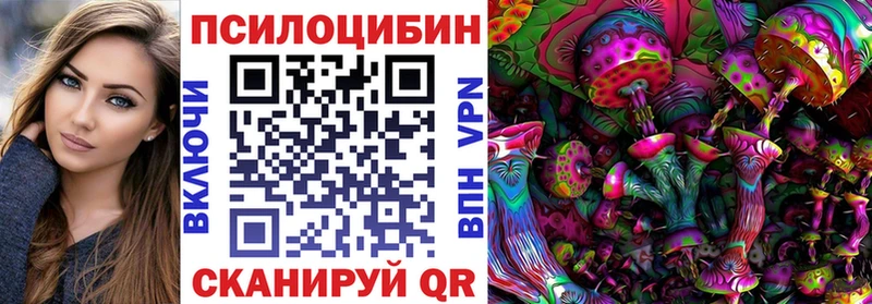 где найти наркотики  Шилка  MEGA ссылки  Псилоцибиновые грибы ЛСД 
